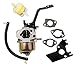 HQParts Carburetor & Fuel Filter & Intake Manifold for LCT 208CC 7HP 6HP CMXX MAXX Gas Engine Generator No. 20824011