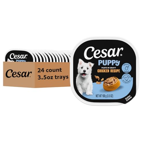 Cesar Puppy Filets in Gravy Wet Dog Food Chicken Recipe 3.5 oz. Easy Peel Trays Dog Food Toppers 24 Count