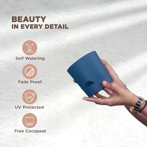 Image of GYOPOTS Self-Watering 11.5 cm Flower Pot for Living Room and Home Decor | Premium Ribbed Texture with self-watering system | Pack of 4 (2 Blue + 2 Brown) with Free Cocopeat | For Indoor & Outdoor Use