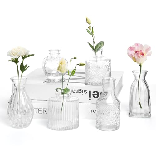 Petal Petite Small Clear Glass Bud Vase Set of 6 for Wedding Centerpieces