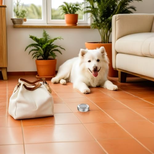 Boîtes d'entraînement olfactif pour chiens à points magnétiques stables - 5