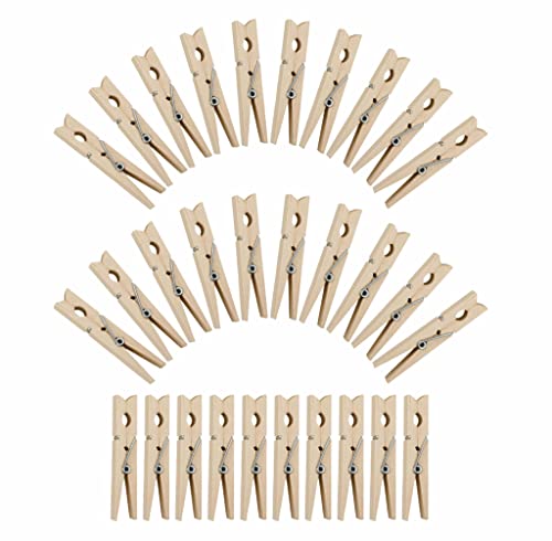 Wooden Clothes Pegs Washing Line Clothespins With Stainless Steel Coil Spring Bamboo Laundry Peg For Clothes Handicrafts Photo Hanging DIY Art And Craft Home Essentials 7.3 X 1 X 1.3cm (Pack Of 60)
