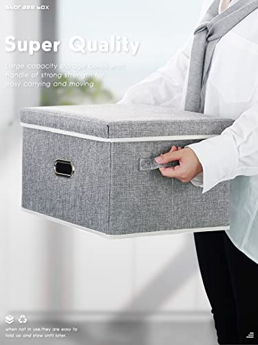 Lesfit Fabric Storage Box with Lid, 20 L - 2