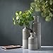 Sullivans Ceramic Vase Set, Farmhouse Decor, Home Decor, Decorative Vase, Vases for Your Kitchen, Bedroom, Office, Living Room, Bathroom, & Shelf Decor, Centerpiece Table Decorations (CM2859)