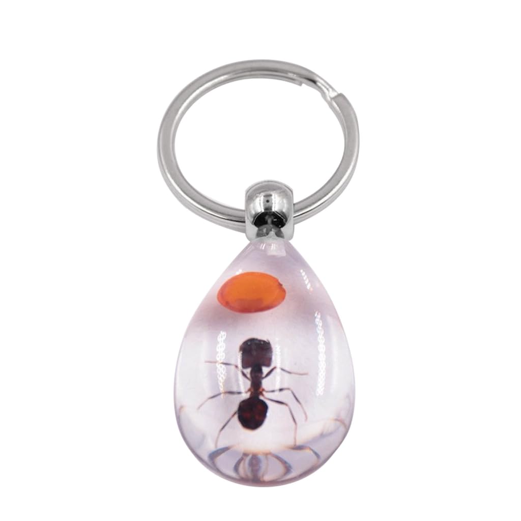 Xbiez Women's H Red Bean Ant Artificial Insect Car Keyring Creativity Resin Scorpion Keychain Scorpion Ant Amber Keychains Handbag Wallet Pendant