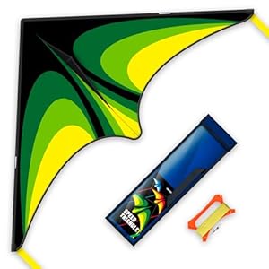 Large Delta Kite for Kids & Adults，Large Easy Flyer with String and Handle，Kites for Beach Trip Park Family Outdoor Games and Activities