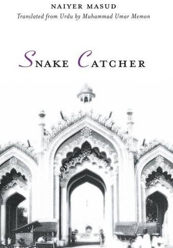 Snake Catcher