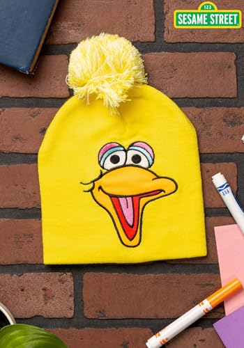 Big Bird Pom Winter Hat2