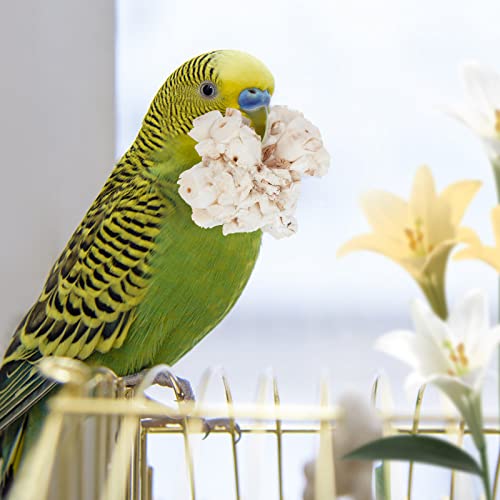 andwe Bird Toy Sola Ball - Natural Soft Chew Shredding & Foraging Toy for Cockatiel Conure Quaker Parrot Budgie Parakeet Rabbit Bunny Guinea Pig Chinchilla (Style 1 (Pack of 6))