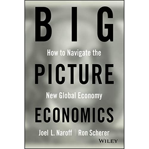 Big Picture Economics : Comment Naviguer dans la Nouvelle économie Mondiale [Import]