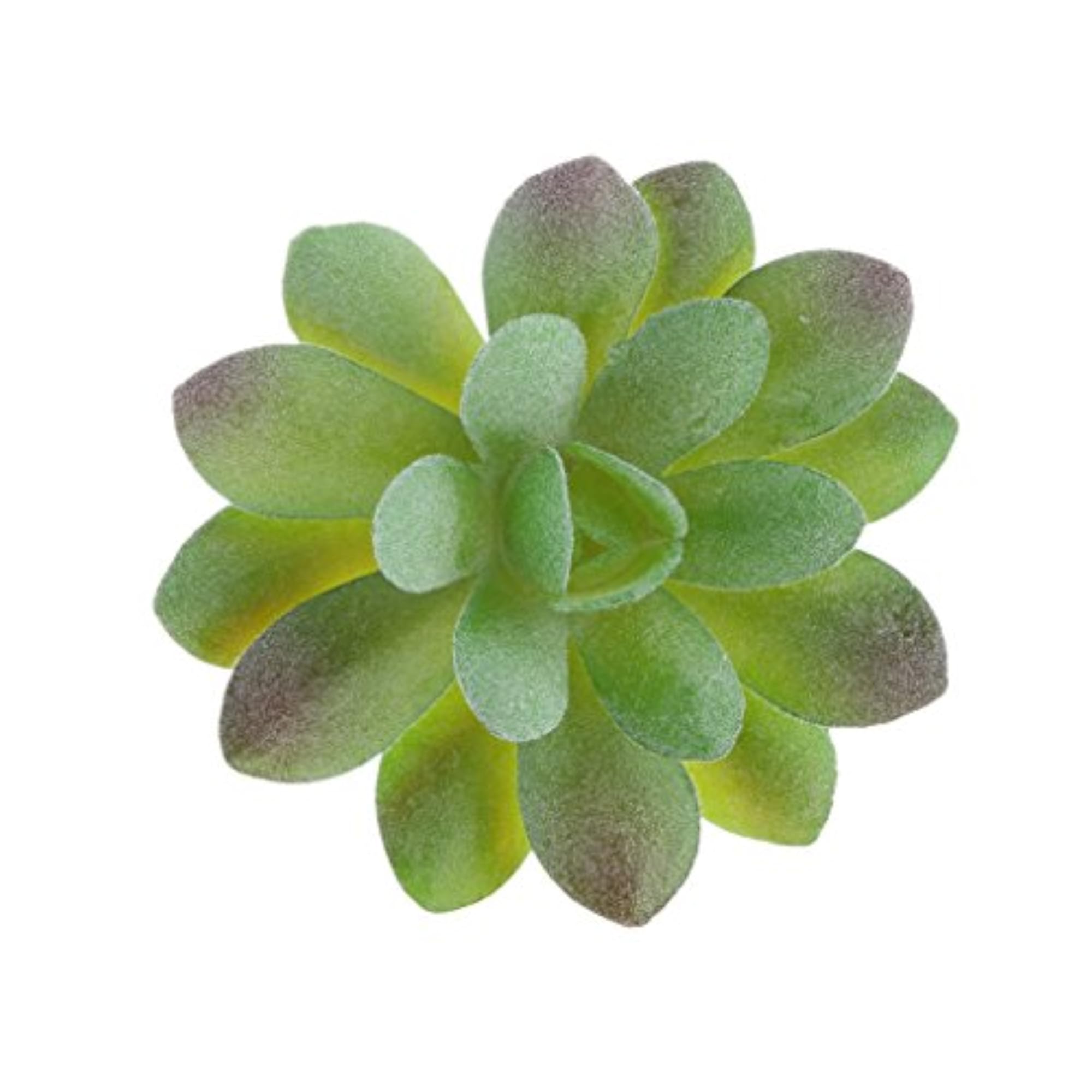 Artificial Succulent Stone Lotus Flower Plant