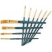 Royal Brush Gold Taklon Brush Set - Value Pack For Acrylics & Watercolors