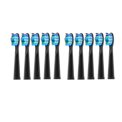 �d�����u���V�w�b�h 5 �ASEAGO �ƌ݊�������AFairywill �ƌ݊�������A�����p�d�����u���V�w�b�h�уu���V���t�B��(10 PCS BK)