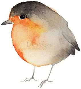 Hand Signed Limited Edition PRINT - Watercolor Robin Redbreast Bird Print from Original Animal Painting - 5 x 5 inches - Miniature Art - Birds