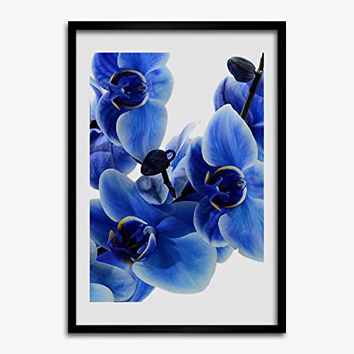 Cadre photo orchidée bleue 50x70 cm pour la décoration du salon moderne