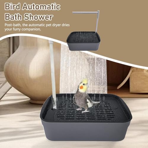 Baignoire de douche de perroquet automatique avec système USB durable - 7