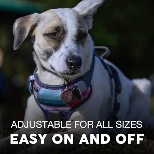 Embark Urban Hundegeschirr, einfach an- und abzulegen, mit Leinenbefestigungen vorn und am Rücken, mit Führungsgriffen – Training ohne Ziehen, größenverstellbar und Nicht würgend