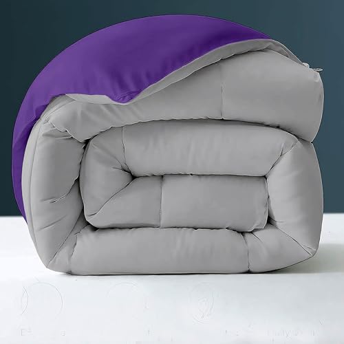 Image of Day Care - 400 GSM Hotel Quality-Down Alternative Reversible Comforter (92 inch x 106 inch Inches /228cm x 228cm) - Comforter King Size|Purple /Silver