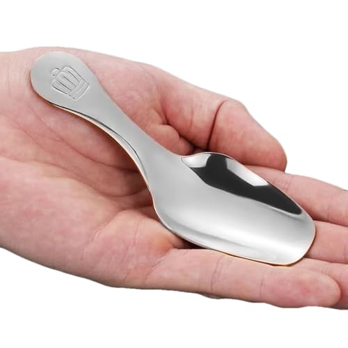 2 Pcs Small Dessert Spoon Stainless Steel Mini Spoons Short Handle Spoons for Salt, Dessert, Sugar, Coffee, Tea, Sugar, Honey, Spice, Ice Cream, Candy, Fit in Canisters (Silver)