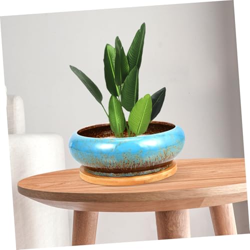 Pot de fleurs pour succulentes, solution drainage et décoration