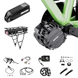 Vastrom VSM01 750W Torque Sensor