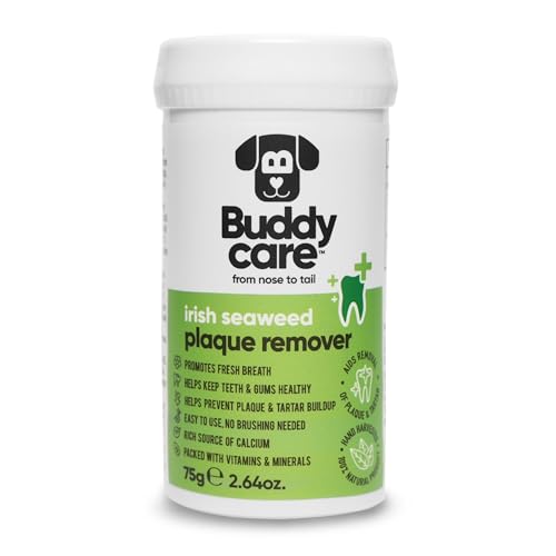 Buddycare - Irish Seaweed Plaque Remover - 3oz
