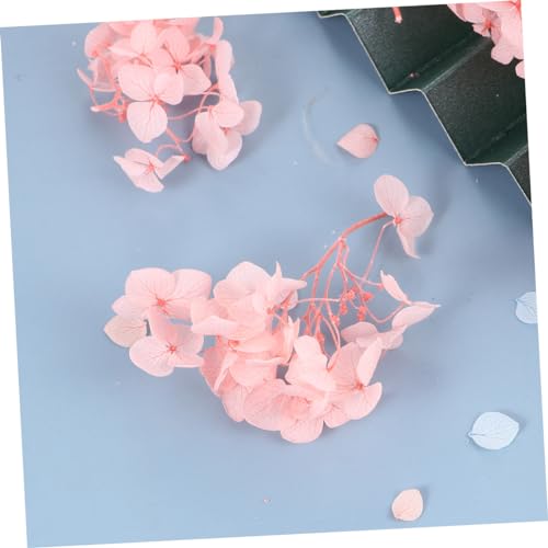 Pétalos secos preservados de hortensia rosa miniatura 5