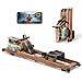 YPOO Rowing Machines, Magnetic Rowing Machines for Home Gym, 16 Levels Resistance Rowing Machine Foldable Quiet with Dual Slide Rail, 350lb Folding Rowing Machine with LCD Display Seat Cushion & App