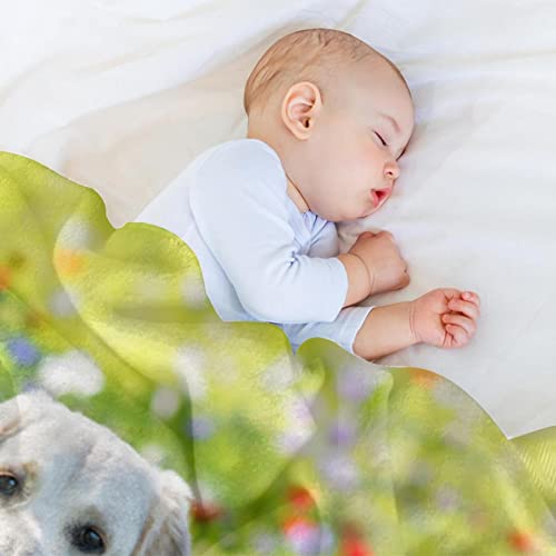 Couvertures chaudes et douces en peluche microfibre plaid Hua Field Adorable Chien