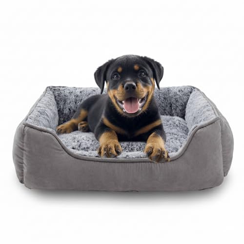 Oiilores Small Dog Sofa Bed Washable Soft Plush Calming Beds with Non-Slip Bottom - Anti-Anxiety Rectangle Puppy Mat (50 x 48 cm Grey)