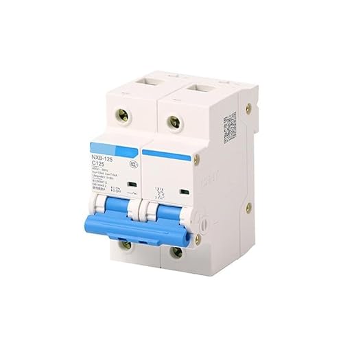LKPEHTAGN NXB-125 Circuit Breaker; 2P C125
