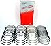Clevite 315-0053-65 Piston Rings