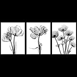 Artsbay 3 Panel Wall Art Black and White Flower Canvas Prints Transparent Floral Painting Wall Decor...