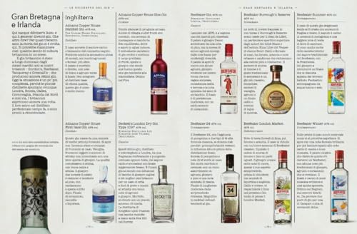 Gin. Arte, Mestiere E Nuova Sapienza In 300 Distillazioni - 5