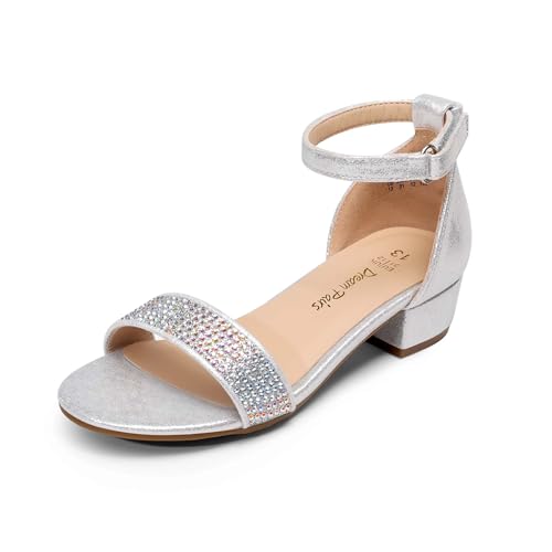 DREAM PAIRS Girls Sandals Low Heel Dress Pump Ankle Strap Interchangeable Bow Flower Wedding Party Shoes for Little Kid/Big Kid 12 Little Kid Silver