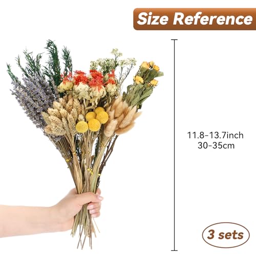 Ramo Grande Boho de Flores Secas Variadas 345 Pzs miniatura 2