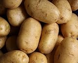 Russet Seed Potatoes, Heirloom Non-GMO Tubers for Planting (1 lb)