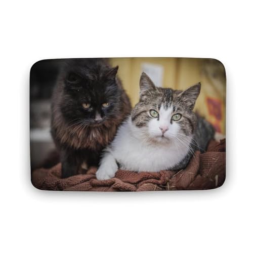 L   oX}bg \tg􂦂 z  փ}bg  O   \ ~ Aj LN^[ @}bg   ʏ