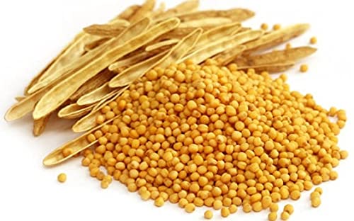 Payasvini Yellow Mustard Seeds 200gm, Peeli Sarson, Whole Yellow Mustard Seeds (200g) (B099ZV54YX) Amazon Price History, Amazon Price Tracker