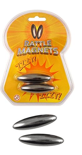 Rattle Power Buzz Magnets by Life Unearthed