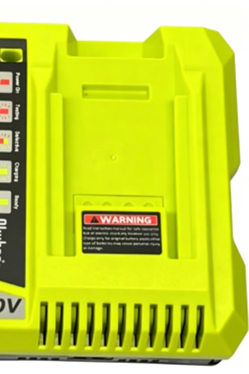 Chargeur 40V Compatible Con Ryobi avec Les Batteries