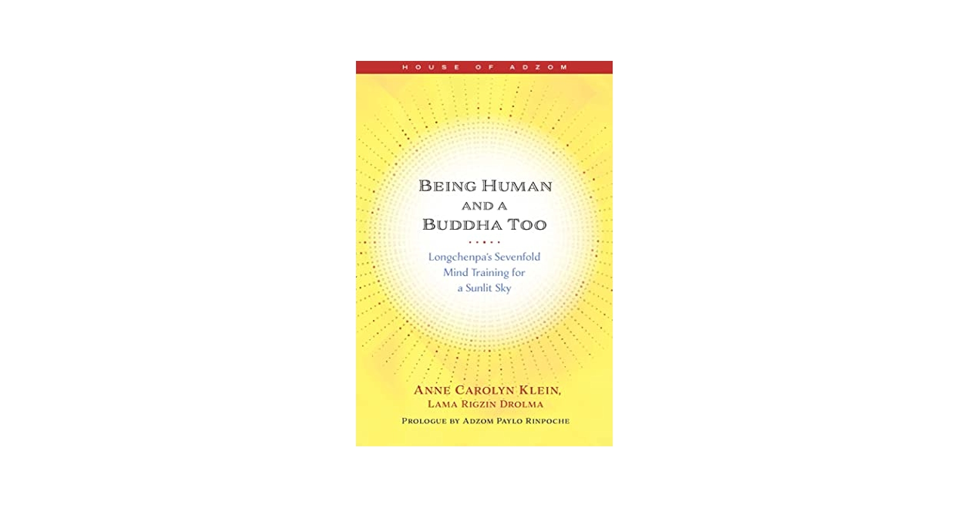 洋書 Beyond Human Understanding by Tralins Tralins, S. Robert. Strange Events Beyond Human