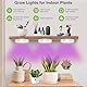 Pflanzenlampe LED,Vollspektrum Pflanzenlicht für Zimmerpflanzen,LED Grow Lampe mit USB Adapter,LED Grow Light,LED-Wachstumslicht mit Zeitschaltuhr,Wachstumslampe für Pflanzen,Gemüse,Blume,10Helligkeit