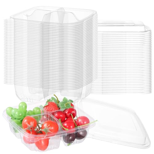 FMOACEN 40 Pcs Bento Snack Containers, Fruits Snack box Containers,