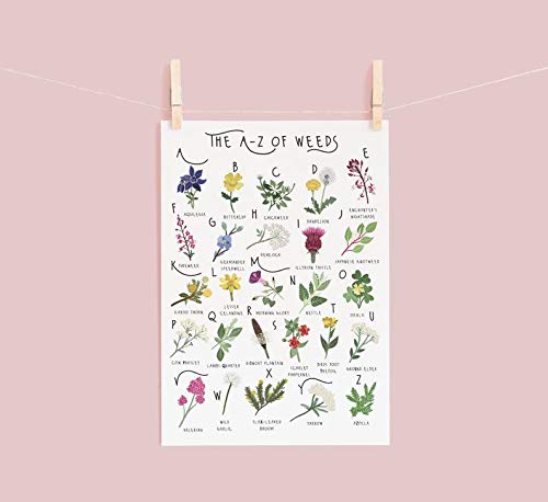 Inga Az Of Wildflowers Poster Wildflowers Botanical Poster Weed Identification Natural History Poster Plant Plant Gift Funny Gift Metal Signs 8x12 inch