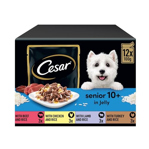 CESAR Senior 10+ Deliciously Fresh Wet Dog Food Pouches Aged Dogs, Mixed Selection in Jelly, Suitable for Senior Dogs Aged 10+, Pack of 4 (4 x 12 Pouches x 100 g)