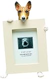 Basenji Picture Frame Holds Your Favorite 2.5 by 3.5 Inch Photo, Hand Painted Realistic Looking Basenji Stands 6 Inches Tall Holding Beautifully Crafted Frame, Unique and Special Basenji Gifts for Basenji Owners