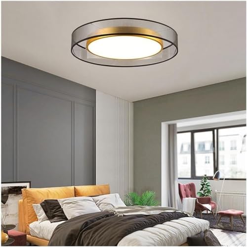 Plafonniers simples modernes à intensité variable pour un éclairage sur mesure - 3