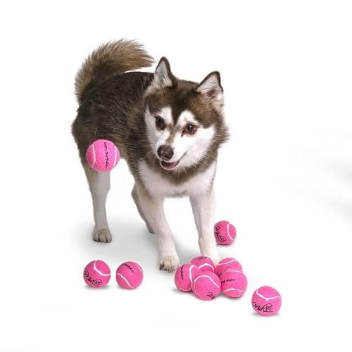 Midlee Happy Birthday Dog Tennis Balls (12 Pack) (Small, Pink) #TOP5