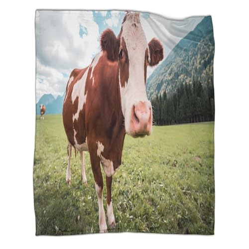 Plaid vache 3D microfibre ultra douce couverture chaude toutes saisons - 3